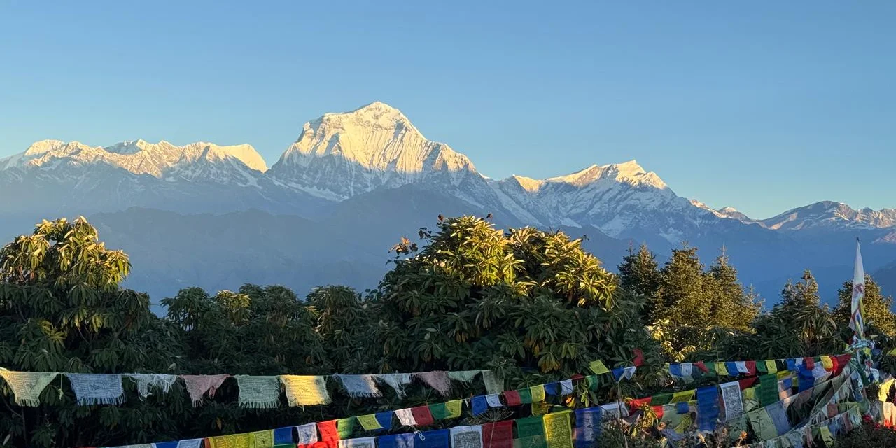 Poon Hill Trek in May