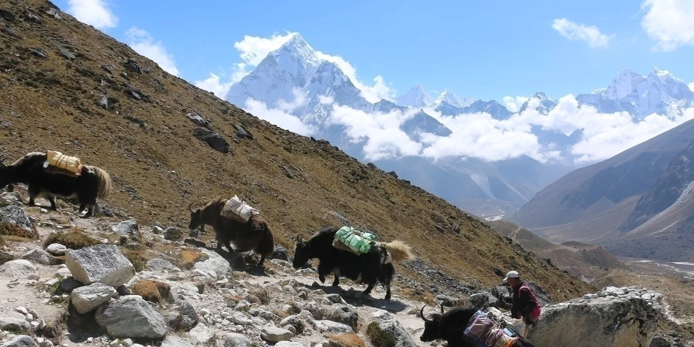 Best Beginners' Treks in Nepal