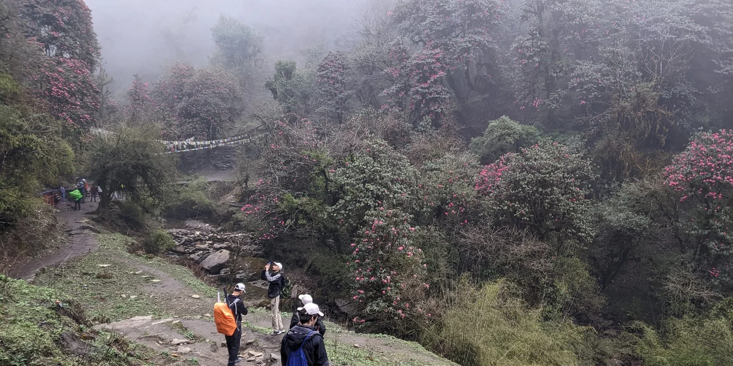 Poon Hill Trek in April