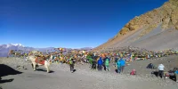 Thorongla Pass- Annapurna Circuit