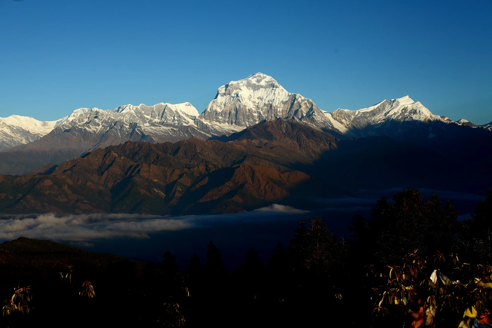 Poon Hill Luxury Trek with Chitwan-12 days