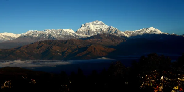 Poon Hill Luxury Trek with Chitwan-12 days